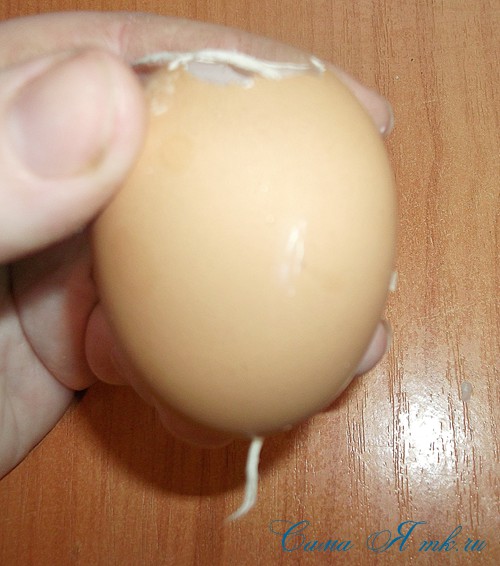 свеча в виде яйца на пасху. Смотреть фото свеча в виде яйца на пасху. Смотреть картинку свеча в виде яйца на пасху. Картинка про свеча в виде яйца на пасху. Фото свеча в виде яйца на пасху свеча в виде яйца на пасху. Смотреть фото свеча в виде яйца на пасху. Смотреть картинку свеча в виде яйца на пасху. Картинка про свеча в виде яйца на пасху. Фото свеча в виде яйца на пасху